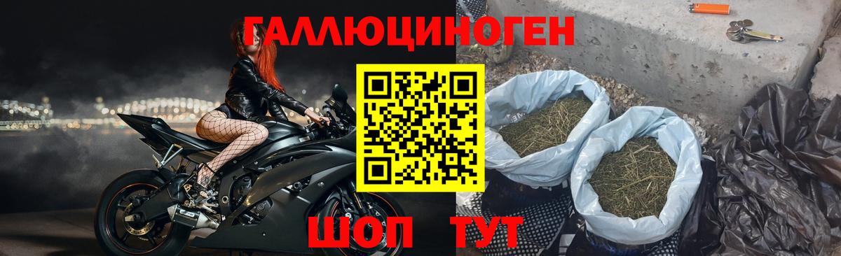 Семёнов  Псилоцибиновые грибы GOLDEN TEACHER  Вход с VPN 