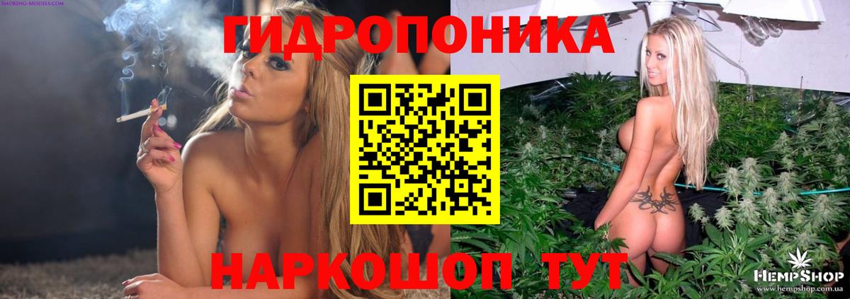 Каннабис гибрид Семёнов